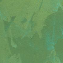 Bravo Inspire Velour velúr hatású